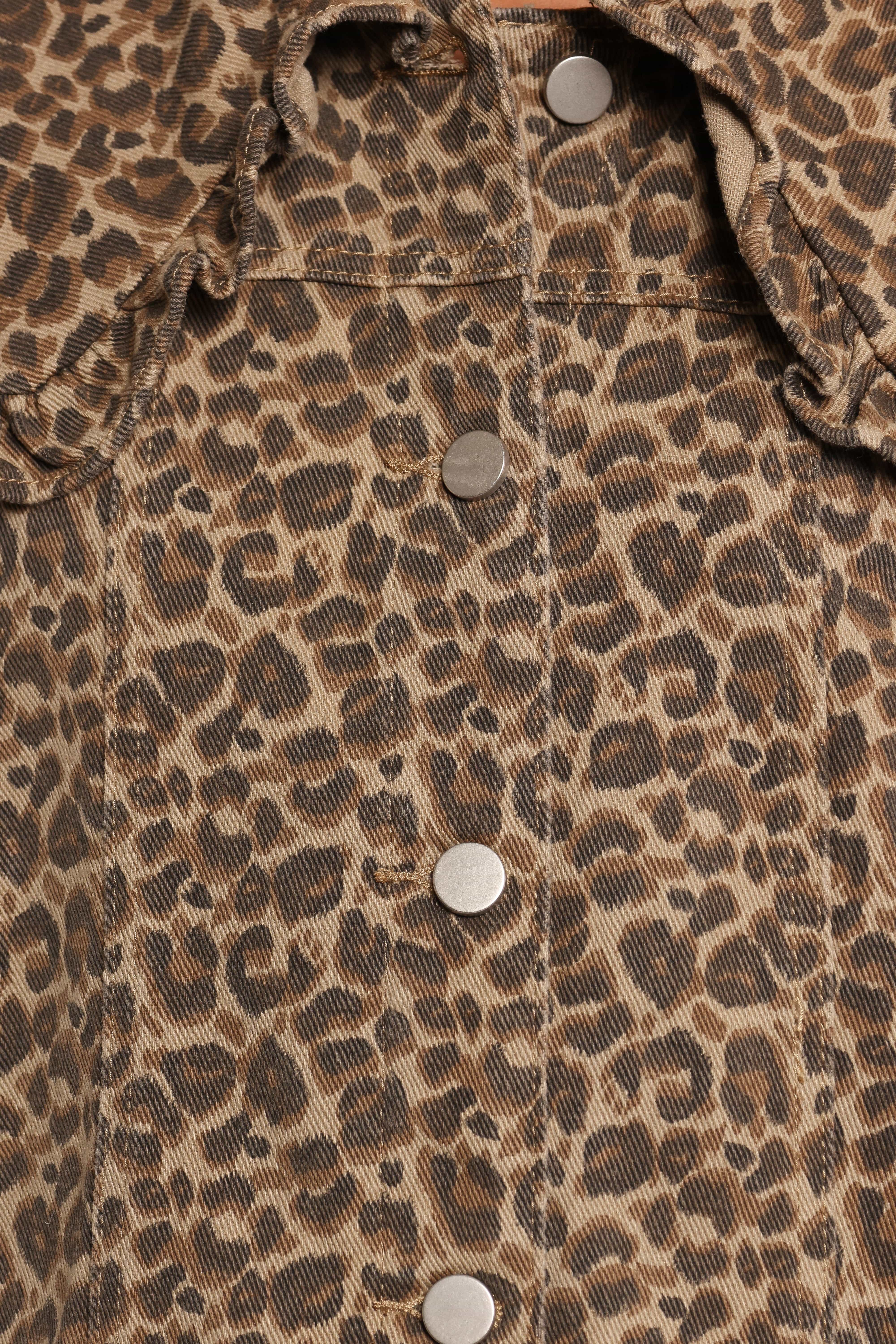 Jaelle Leopard Print Jacket - Leopard